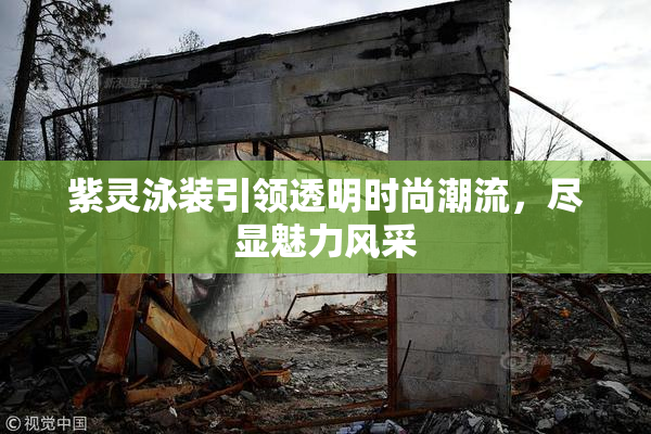 紫灵泳装引领透明时尚潮流，尽显魅力风采