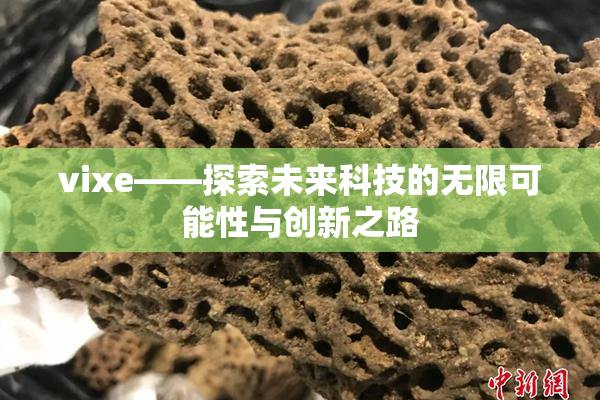 vixe——探索未来科技的无限可能性与创新之路