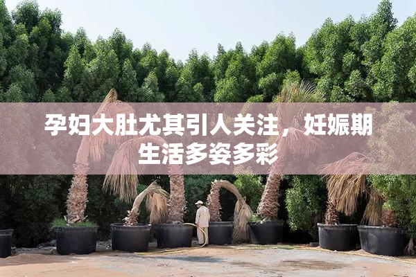 孕妇大肚尤其引人关注，妊娠期生活多姿多彩