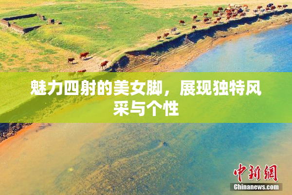 魅力四射的美女脚，展现独特风采与个性