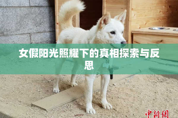 女假阳光照耀下的真相探索与反思