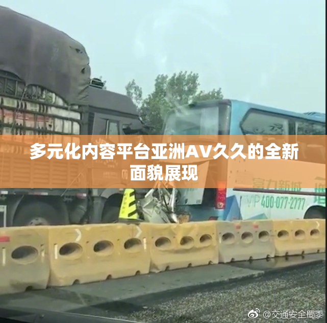 多元化内容平台亚洲AV久久的全新面貌展现