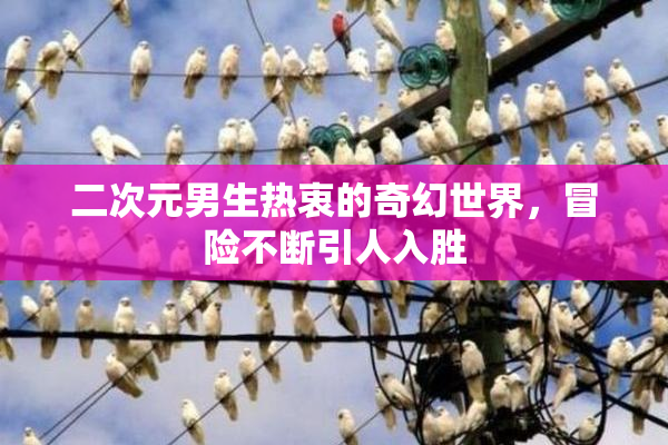 二次元男生热衷的奇幻世界，冒险不断引人入胜