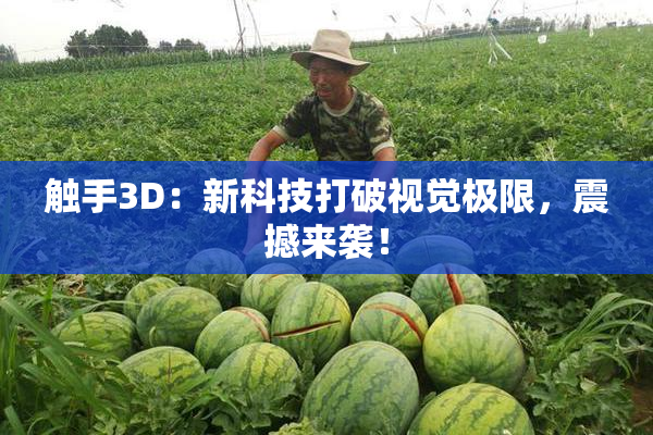 触手3D：新科技打破视觉极限，震撼来袭！