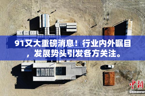 91又大重磅消息！行业内外瞩目，发展势头引发各方关注。