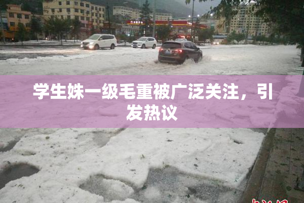 学生姝一级毛重被广泛关注，引发热议