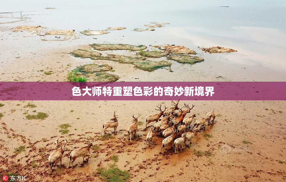 色大师特重塑色彩的奇妙新境界