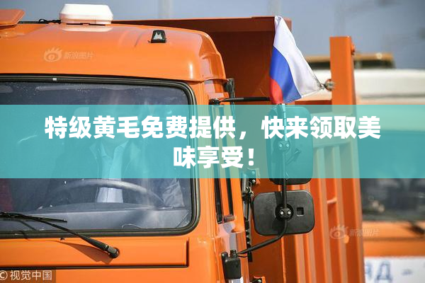 特级黄毛免费提供，快来领取美味享受！