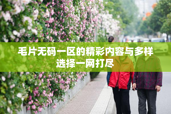 毛片无码一区的精彩内容与多样选择一网打尽