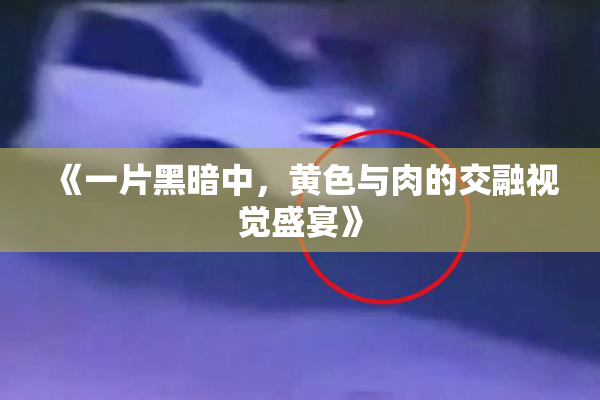 《一片黑暗中，黄色与肉的交融视觉盛宴》