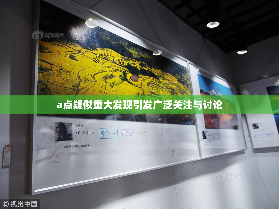 a点疑似重大发现引发广泛关注与讨论