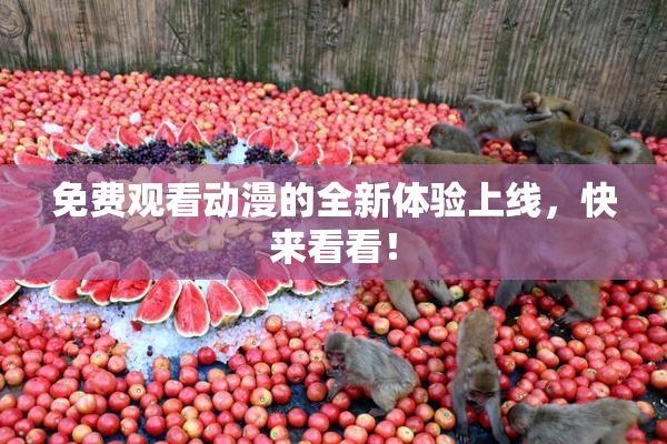 免费观看动漫的全新体验上线，快来看看！