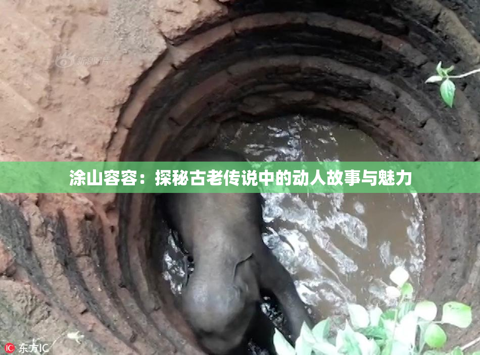 涂山容容：探秘古老传说中的动人故事与魅力