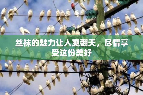 丝袜的魅力让人爽翻天，尽情享受这份美好