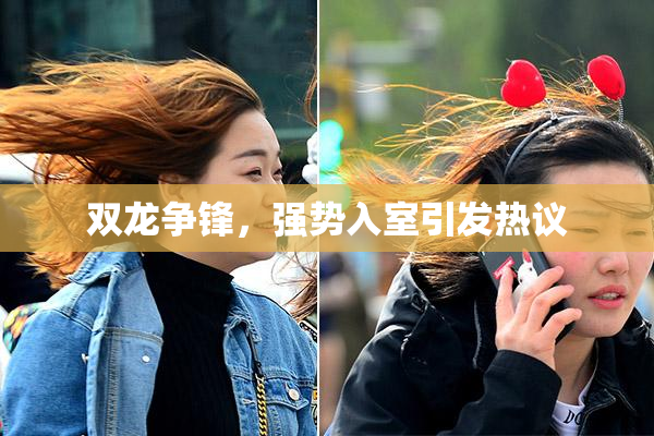 双龙争锋，强势入室引发热议