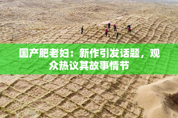 国产肥老妇：新作引发话题，观众热议其故事情节