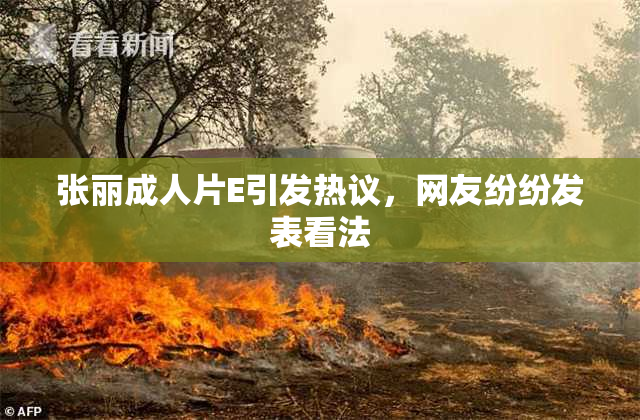 张丽成人片E引发热议，网友纷纷发表看法