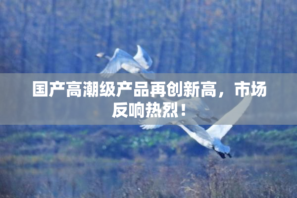 国产高潮级产品再创新高，市场反响热烈！