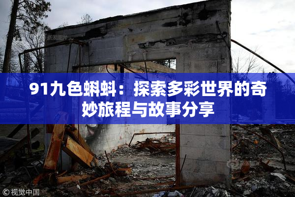 91九色蝌蚪：探索多彩世界的奇妙旅程与故事分享
