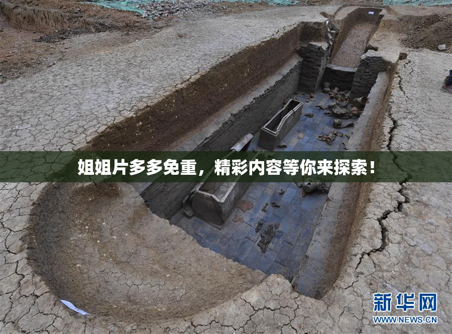 姐姐片多多免重，精彩内容等你来探索！
