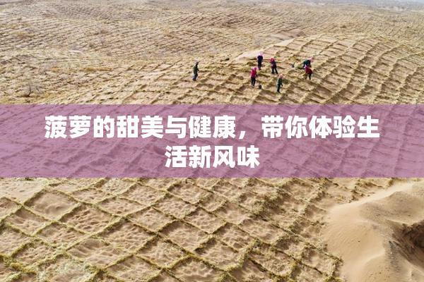 菠萝的甜美与健康，带你体验生活新风味