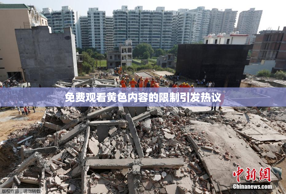 免费观看黄色内容的限制引发热议