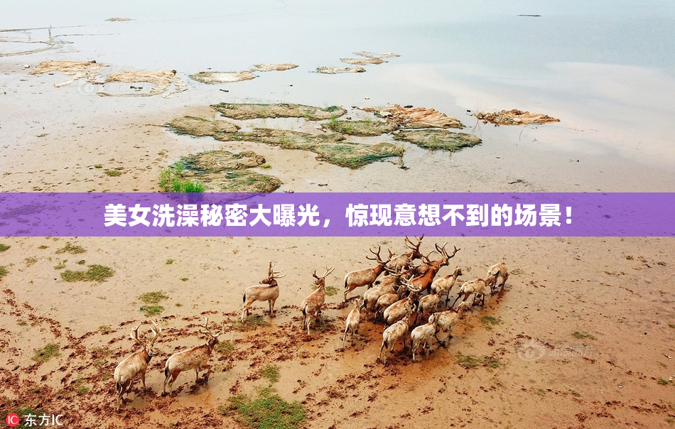 美女洗澡秘密大曝光，惊现意想不到的场景！