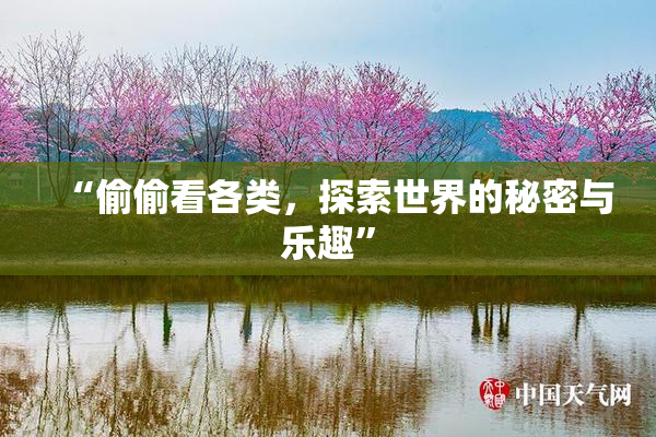 “偷偷看各类，探索世界的秘密与乐趣”