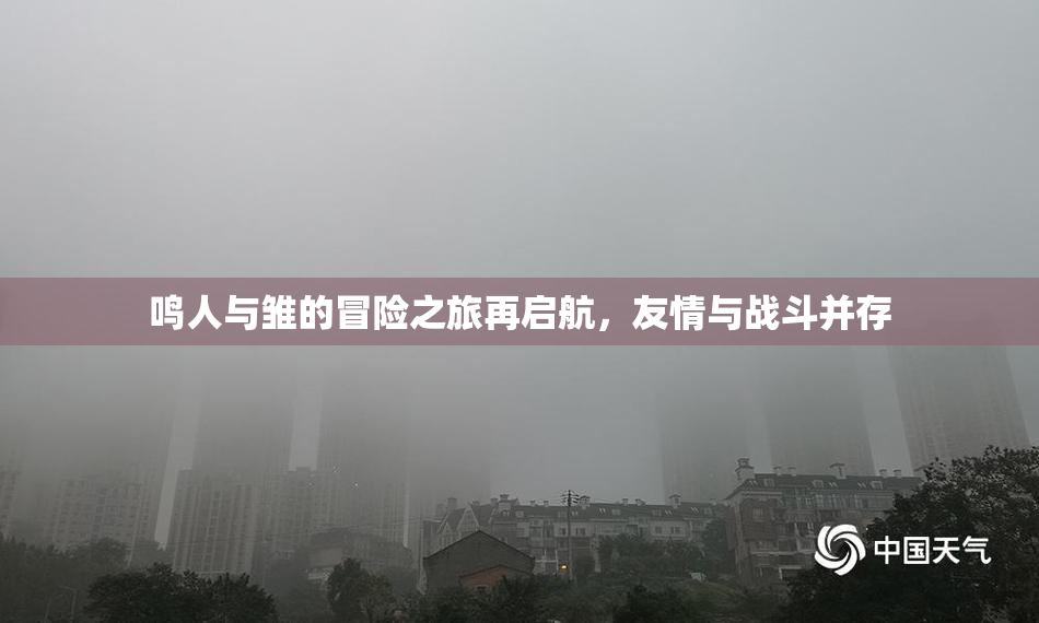 鸣人与雏的冒险之旅再启航，友情与战斗并存