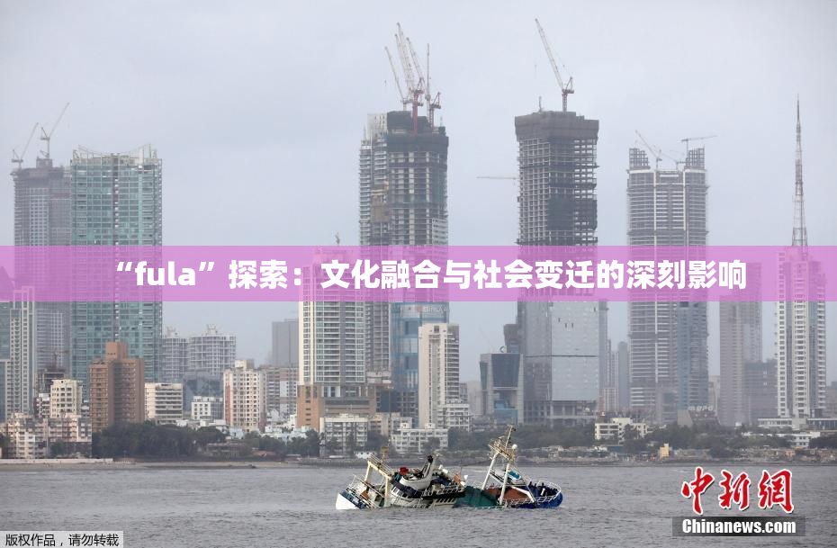 “fula”探索：文化融合与社会变迁的深刻影响