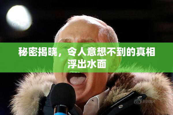 秘密揭晓，令人意想不到的真相浮出水面