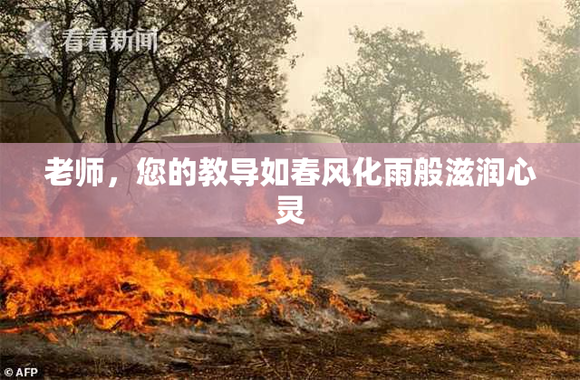 老师，您的教导如春风化雨般滋润心灵