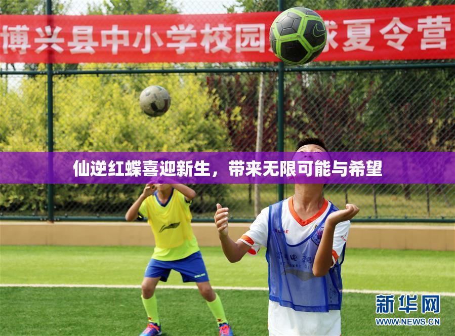 仙逆红蝶喜迎新生，带来无限可能与希望
