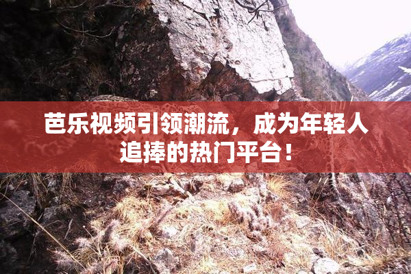 芭乐视频引领潮流，成为年轻人追捧的热门平台！