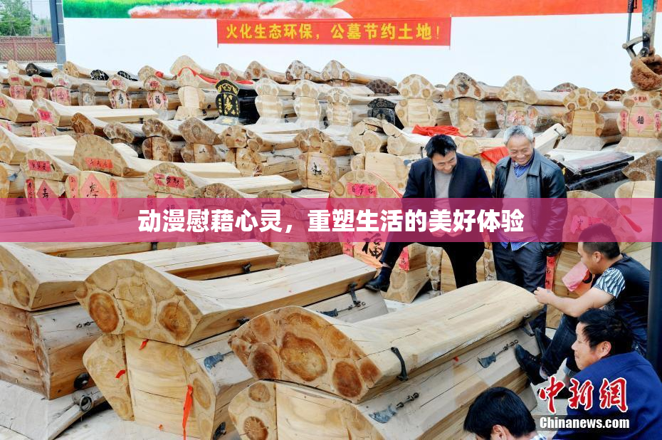 动漫慰藉心灵，重塑生活的美好体验