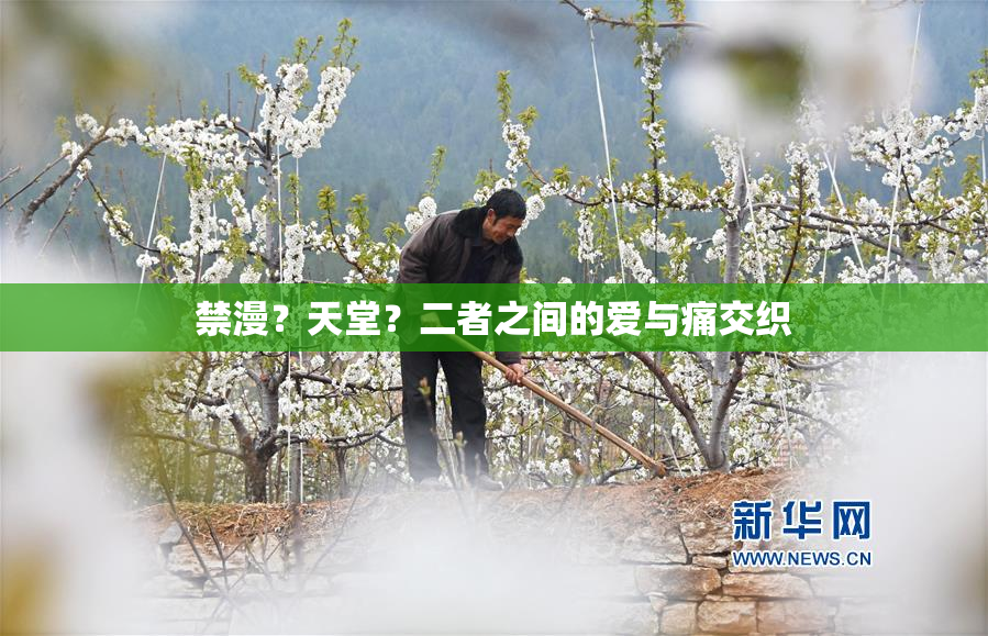 禁漫？天堂？二者之间的爱与痛交织