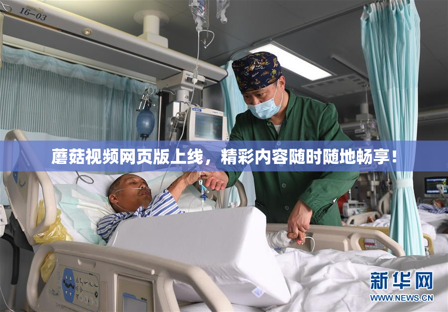蘑菇视频网页版上线，精彩内容随时随地畅享！