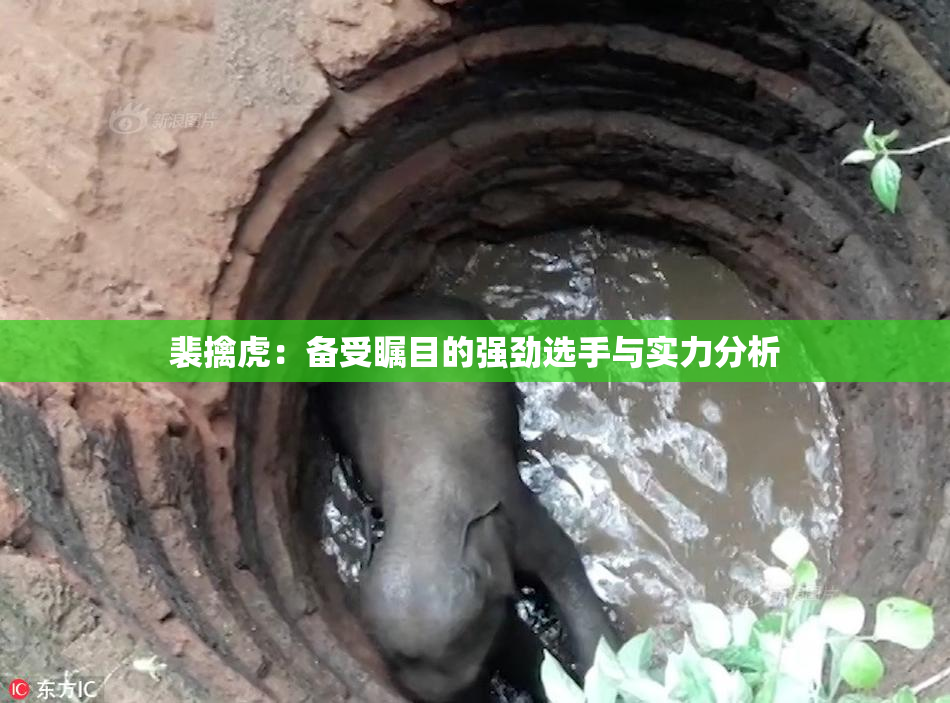 裴擒虎：备受瞩目的强劲选手与实力分析