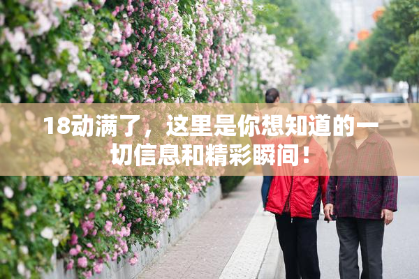 18动满了，这里是你想知道的一切信息和精彩瞬间！