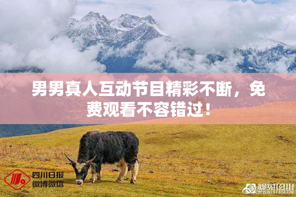 男男真人互动节目精彩不断，免费观看不容错过！