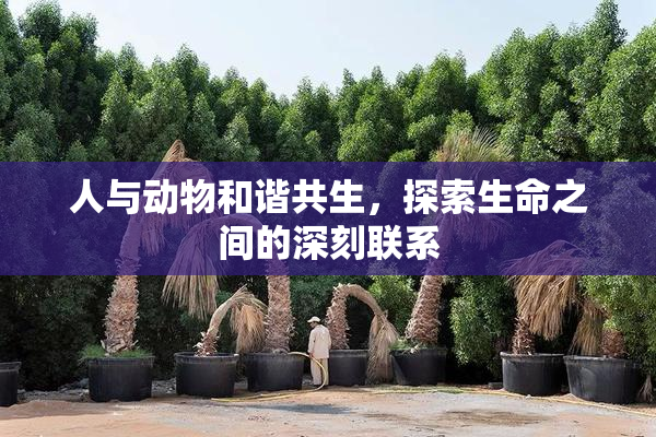 人与动物和谐共生，探索生命之间的深刻联系