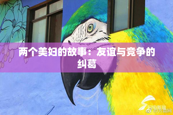 两个美妇的故事：友谊与竞争的纠葛