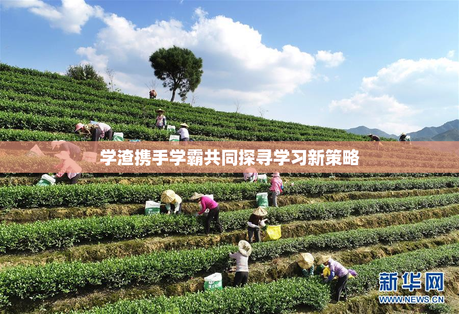 学渣携手学霸共同探寻学习新策略