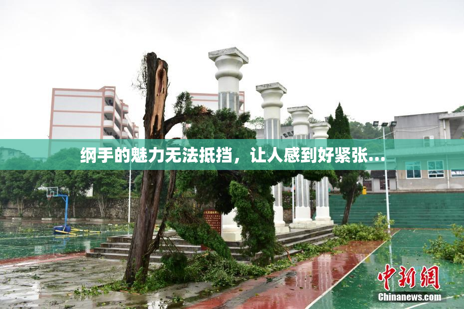 纲手的魅力无法抵挡，让人感到好紧张…