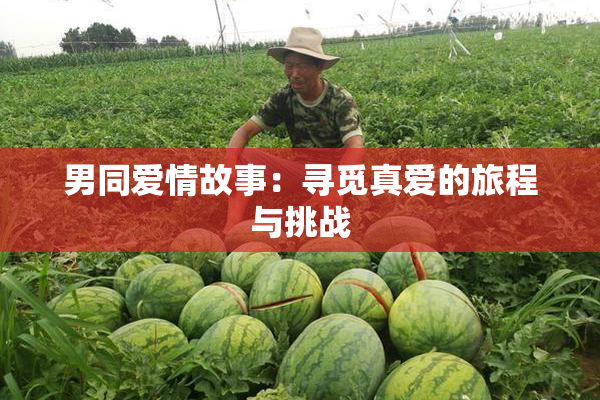 男同爱情故事：寻觅真爱的旅程与挑战