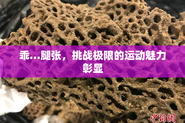 乖…腿张，挑战极限的运动魅力彰显