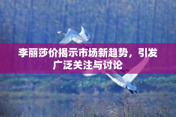 李丽莎价揭示市场新趋势，引发广泛关注与讨论