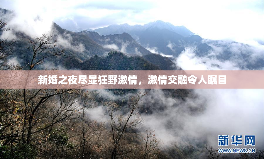 新婚之夜尽显狂野激情，激情交融令人瞩目