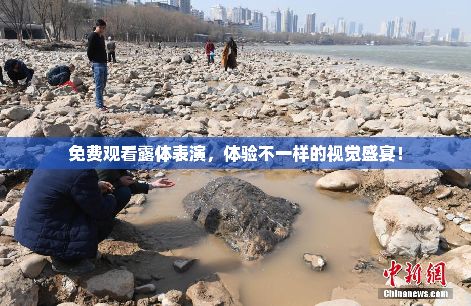免费观看露体表演，体验不一样的视觉盛宴！