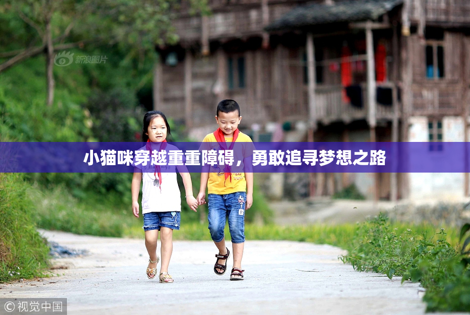 小猫咪穿越重重障碍，勇敢追寻梦想之路